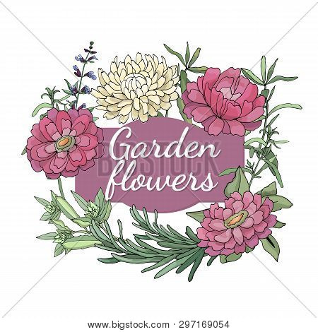 Floral Set. Summer And Spring Isolated Garden Flowers.