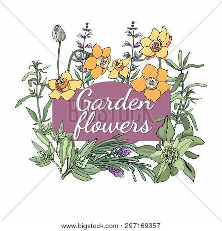 Floral Set. Summer And Spring Isolated Garden Flowers.