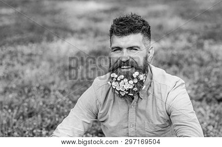 Man With Beard On Smiling Face Enjoy Life Without Allergy. Hipster With Daisies Looks Happy, Copy Sp