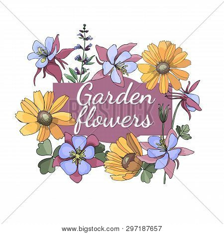 Floral Set. Summer And Spring Isolated Garden Flowers.