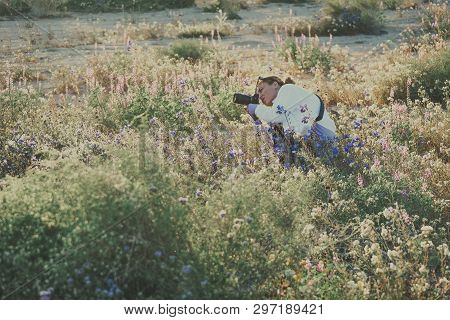 Woman Photographer Takes Photos Of A Wildflower Field In California At Joshua Tree National Park In 