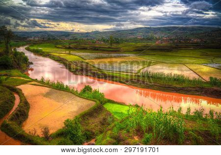 Landscape With The Rice Fields And Onive River At Antanifotsy In Madagascar