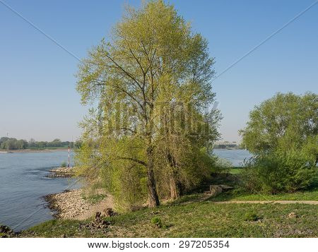 the river rhine near rees in germany