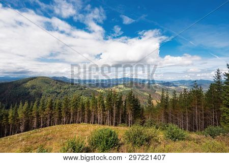 Vizcaya Forest And Mountain Landscape, Basque Country, Spain.