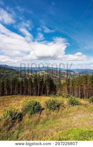 Vizcaya Forest And Mountain Landscape, Basque Country, Spain.