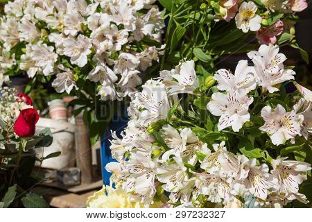 Photo Of Flower Bazaar For Graphic And Web Design, For Website Or Mobile App.