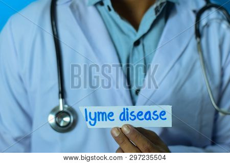 Doctor Holding A Card With Text Lyme Disease. Medical And Healthcare Concept.