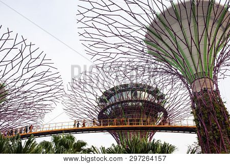 SINGAPORE, SINGAPORE - MARCH 2019: Supertree Grove & OCBC Skyway at Garden by the Bay