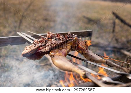 Fowl Preparing, Hunting Theme. Cooking A Whole Pheasant Body On An Iron Skewers Over A Campfire With