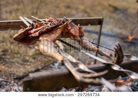 Fowl Preparing, Hunting Theme. Cooking A Whole Pheasant Body On An Iron Skewers Over A Campfire With