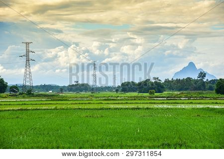 Landscape Green Rice Field With Electric Pole High Voltage And Mountian Background