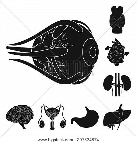 Vector Illustration Of Research And Laboratory Symbol. Set Of Research And Organ Stock Symbol For We