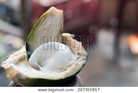 Tender White Coconut Meat Malai Scooped Out Of Raw Coconut Selectively Focussed