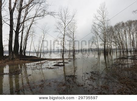 Inundación