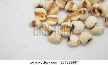 Job's Tears, Also Known As Adlay And Coix On White Background. Popular In Asian Cultures As A Food S
