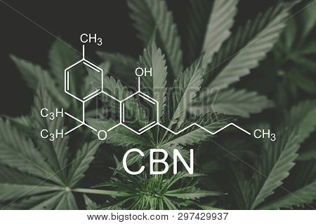 Cbn Formula, Cannabinoid . Cbd And Thc Elements In Cannabis, Hemp Industry, Medical Marijuana, Canna