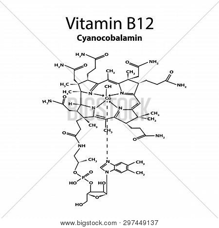 Vitamin B12. Cyanocobalamin Molecular Chemical Formula. Infographics. Vector Illustration On Isolate