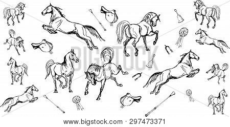 Vector Images Of Horses And Horse Accessories On White Background. Isolate