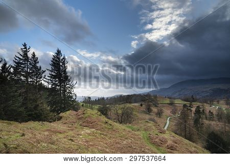Beautiful Evening Landscape Image Of Tarn Hows In Uk Lake District During Spring