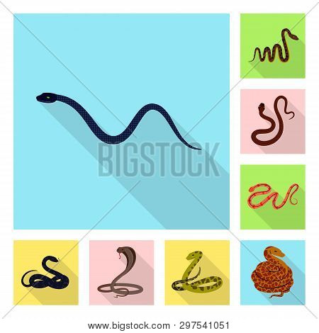 Vector Design Of Skin And Reptile Sign. Set Of Skin And Danger Stock Symbol For Web.