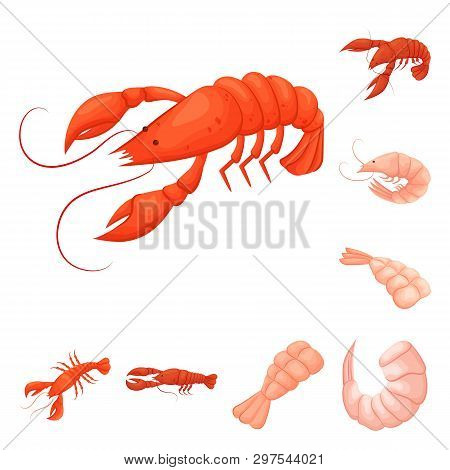 Vector Illustration Of Shrimp And Crab Symbol. Collection Of Shrimp And Sea Stock Symbol For Web.