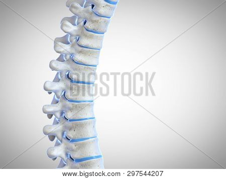 3d rendered medically accurate illustration of the human spine
