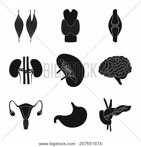 Vector Design Of Research And Laboratory Logo. Set Of Research And Organ Stock Vector Illustration.