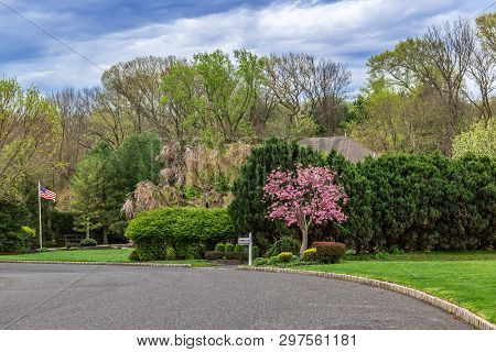 Spring Trees And Blossoms On This Cul-de-sac In Holmdel New Jersey.
