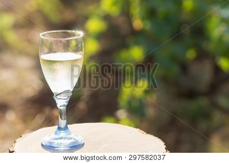 One Glass Of Fresh White Wine On A Wooden Board On A Bright Sunny Day In A Vineyard In Salento, Apul