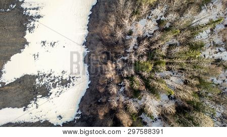 Aerial Photography Of A Forest In Winter