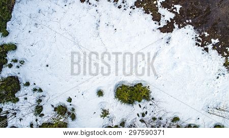 Spring Snow Melting In The Real Forest