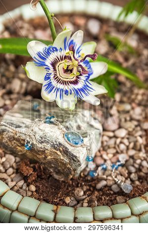 Jewelery Made Of Natural Stones Against The Backdrop Of Blossoming Pasiflora. Bracelets, Rings, Neck