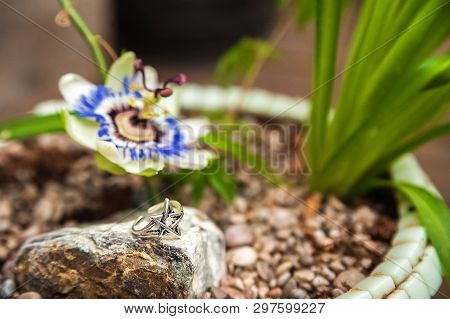 Jewelery Made Of Natural Stones Against The Backdrop Of Blossoming Pasiflora. Bracelets, Rings, Neck