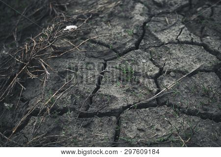 Dry Land, Dry Earth, Dry Ground. Earth Pattern.cracked Earth.