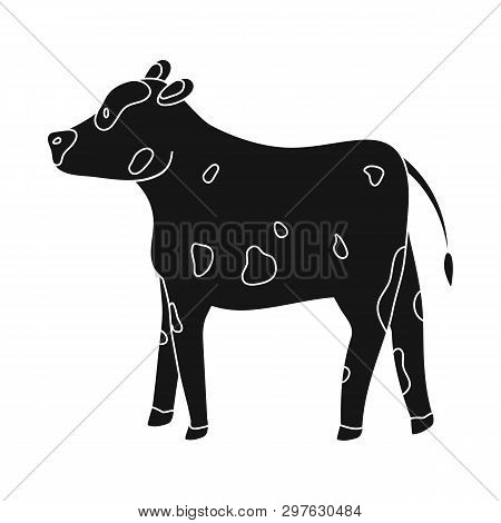 Vector Illustration Of Cow And Heifer Symbol. Set Of Cow And Milk Vector Icon For Stock.