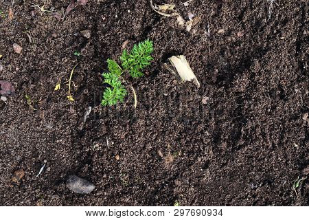 Close Up Of An Griculture Ground Surface With High Details In High Resolution
