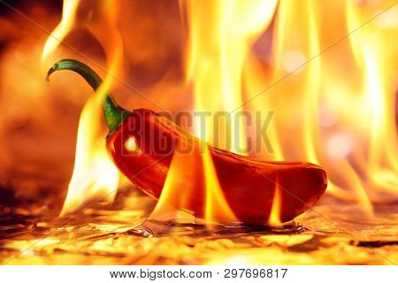 Spicy red Jalapeno pepper on fire