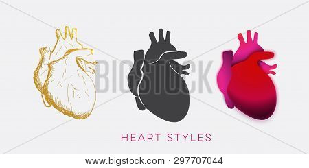 Hearth Body Illustration In Three Style Design Vector Template