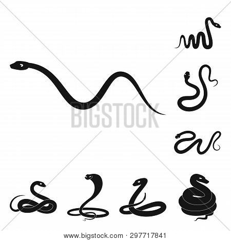 Vector Design Of Nature And Medicine Symbol. Set Of Nature And Evil Stock Symbol For Web.