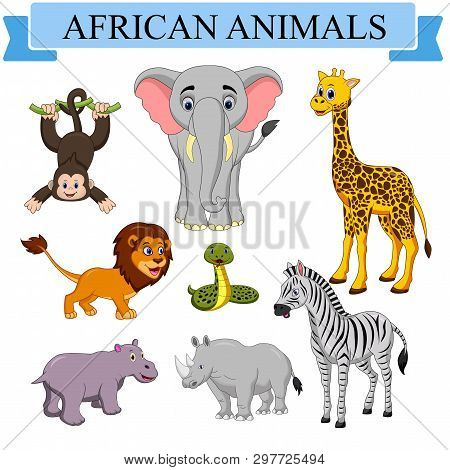 Cartoon African Animals Collection Isolated On White Background
