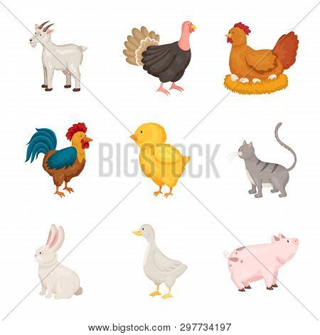 Vector Design Of Farm And Food Icon. Set Of Farm And Countryside Vector Icon For Stock.