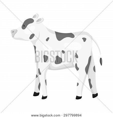 Isolated Object Of Cow And Heifer Icon. Set Of Cow And Milk Vector Icon For Stock.