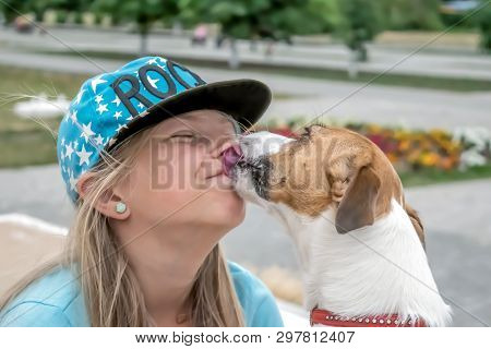 Pokrov, Ukraine - August 15, 2017: A Small Happy Dog Jack Russel Terrier Licking A Girls Face At Sum