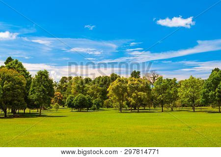 Bali Botanic Garden Or Kebun Raya Bedugul Is The Largest Botanic Garden In Bali Island And Indonesia