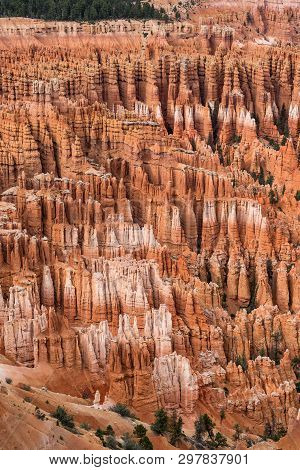 A Lot Of Hoodoos Standing In The Valley Of The Bryce Canyon National Park.