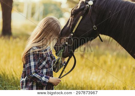 Young Blonde Girl Stroking A Brown Horse.
