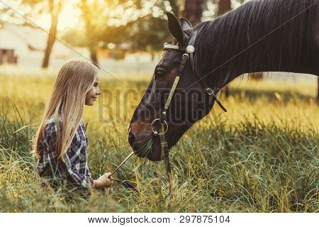 Young Blonde Girl Stroking A Brown Horse.