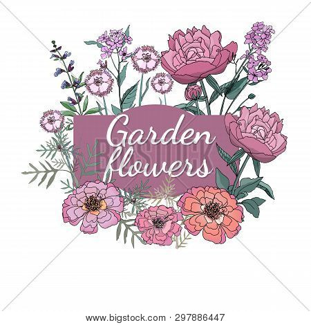 Floral Set. Summer And Spring Isolated Garden Flowers.
