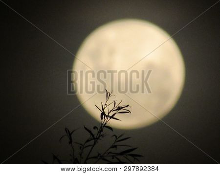 Noche De Luna En San Agustín, Cordoba