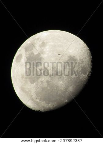 Un Murciélago Volando Sobre La Luna De Cordoba